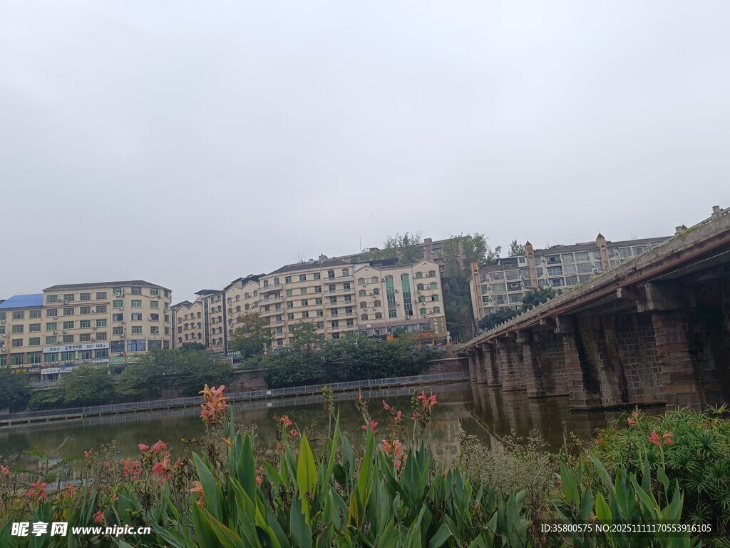 河畔楼房与绿植景观