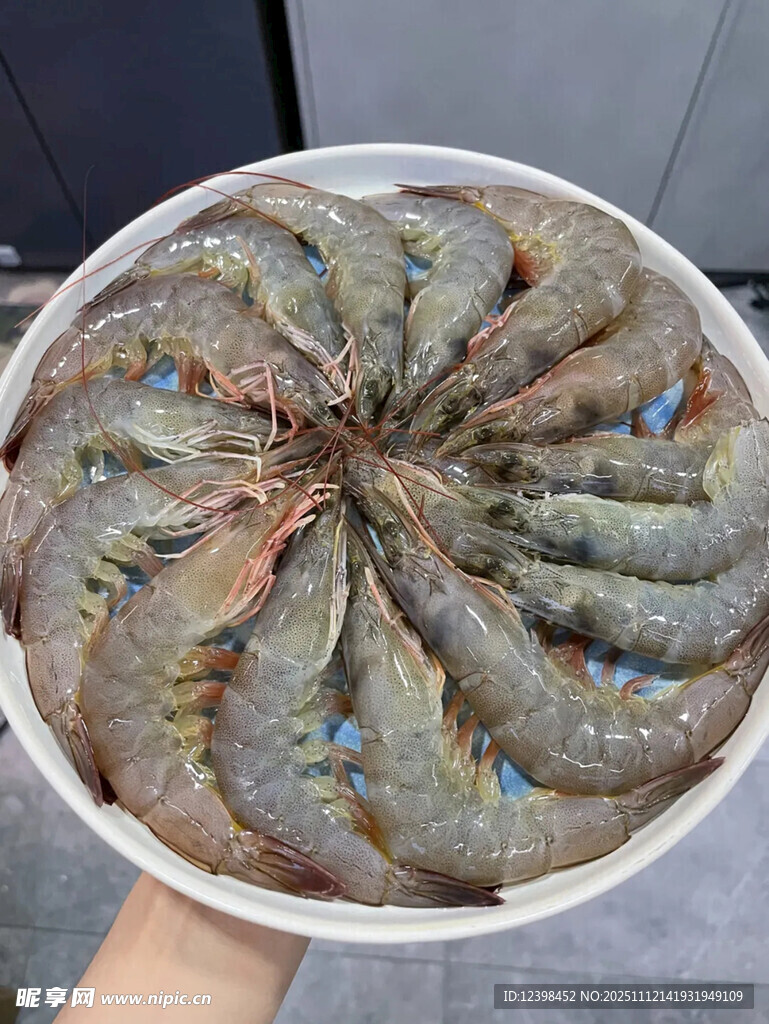 新鲜大虾摆放在白色容器中