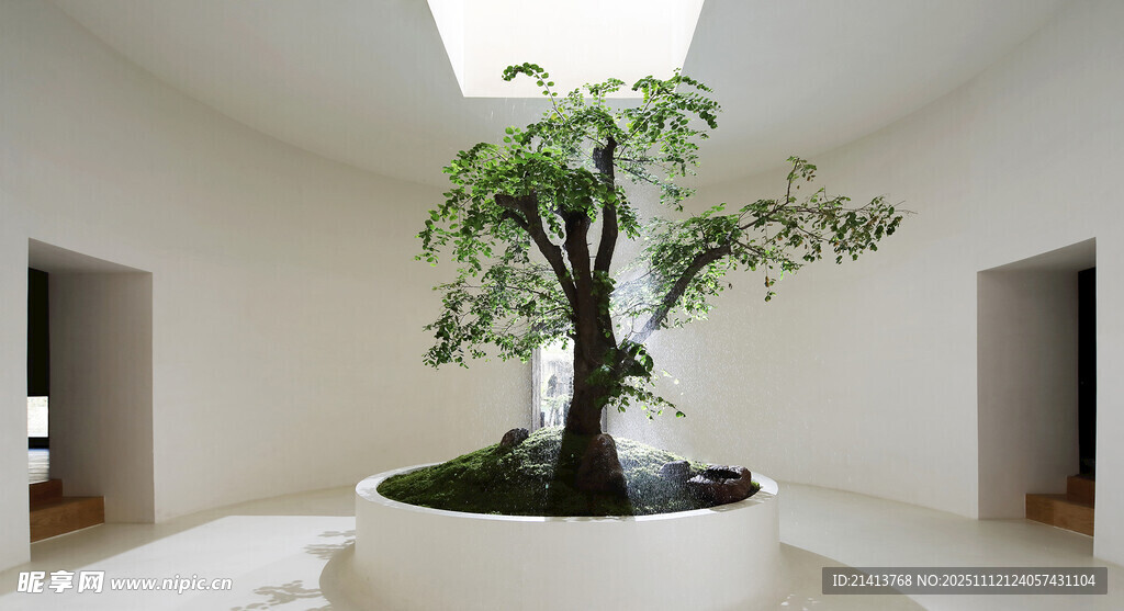 室内禅意盆栽景观