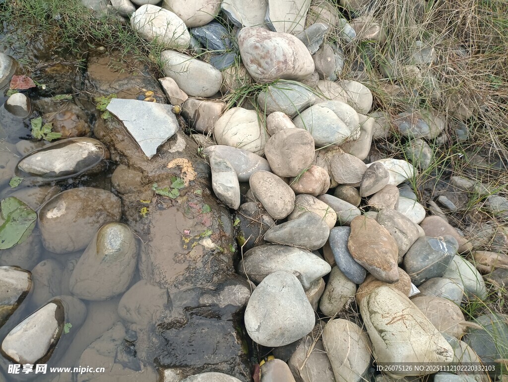 溪边形态各异的多彩石头