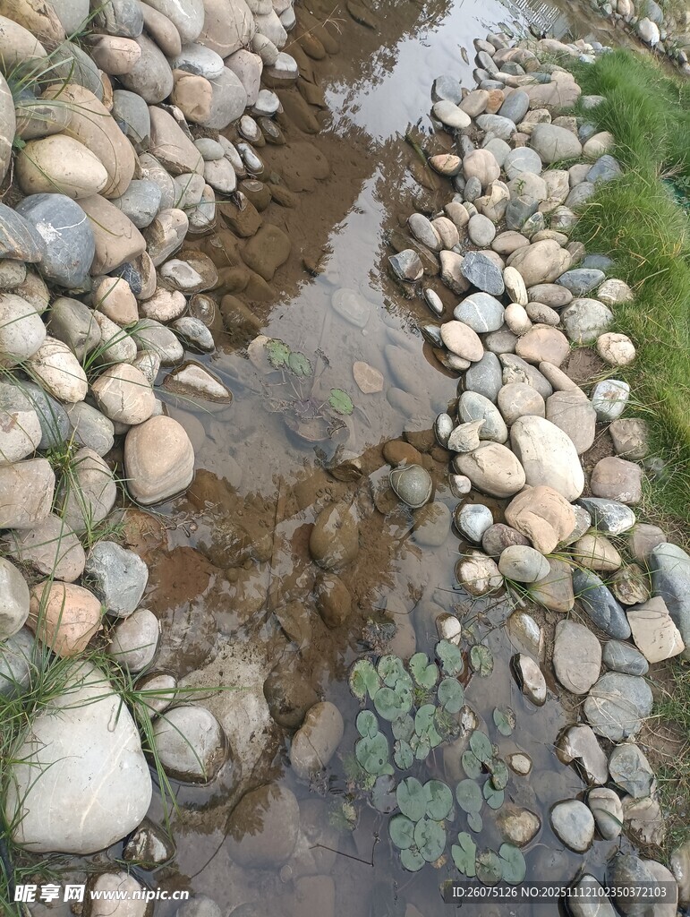 溪边散落的多彩鹅卵石