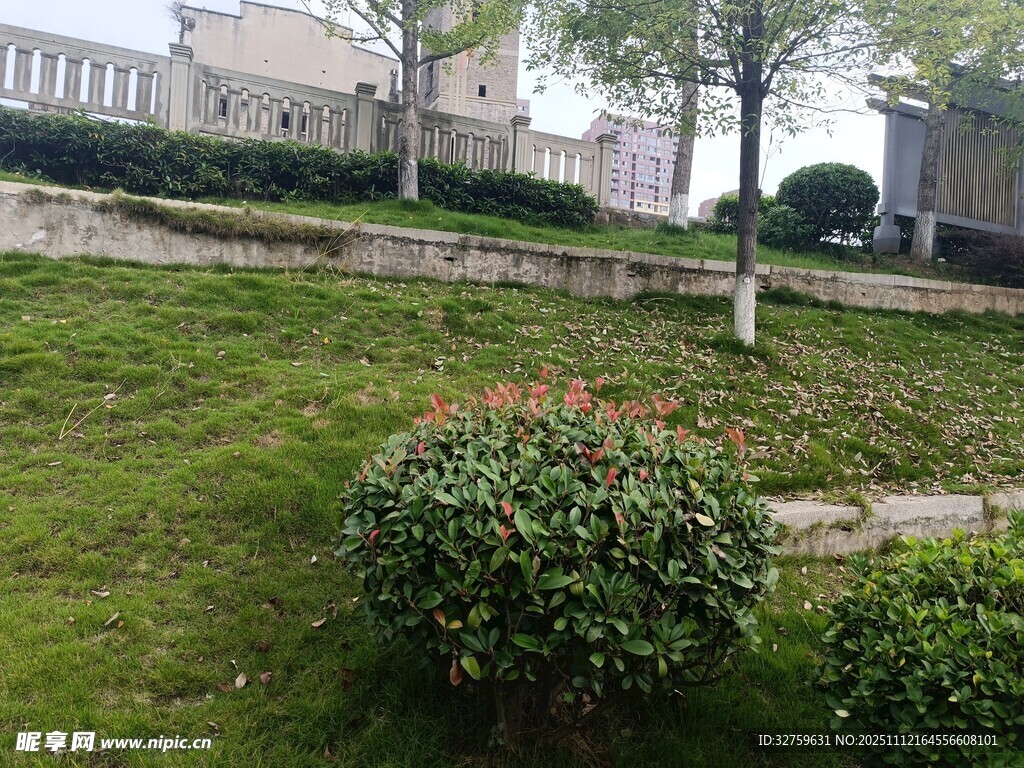 户外绿意盎然的园林景观