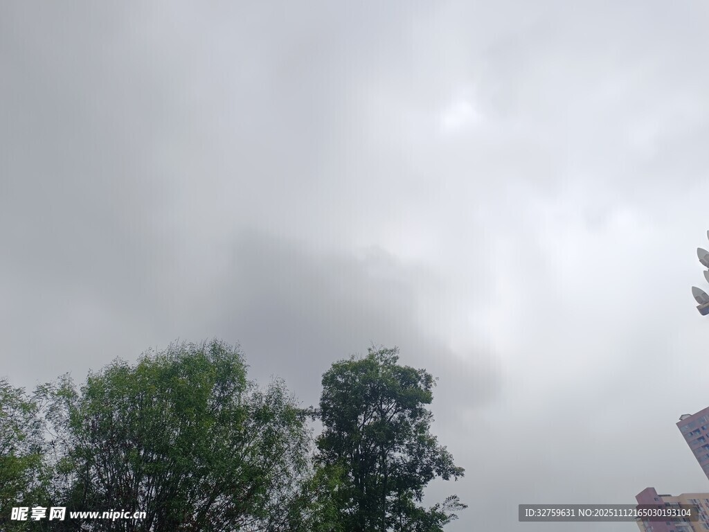 阴天中的树木与建筑物