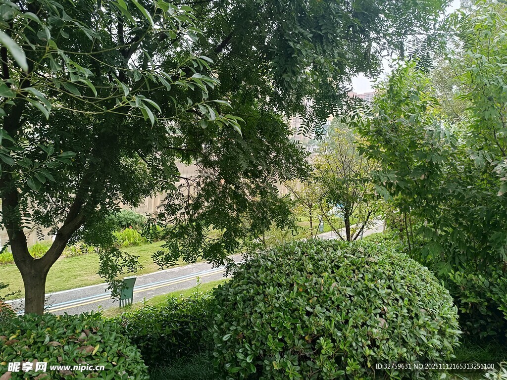 绿意盎然的园林景观