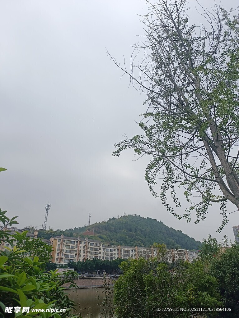 郊外绿树青山风景图