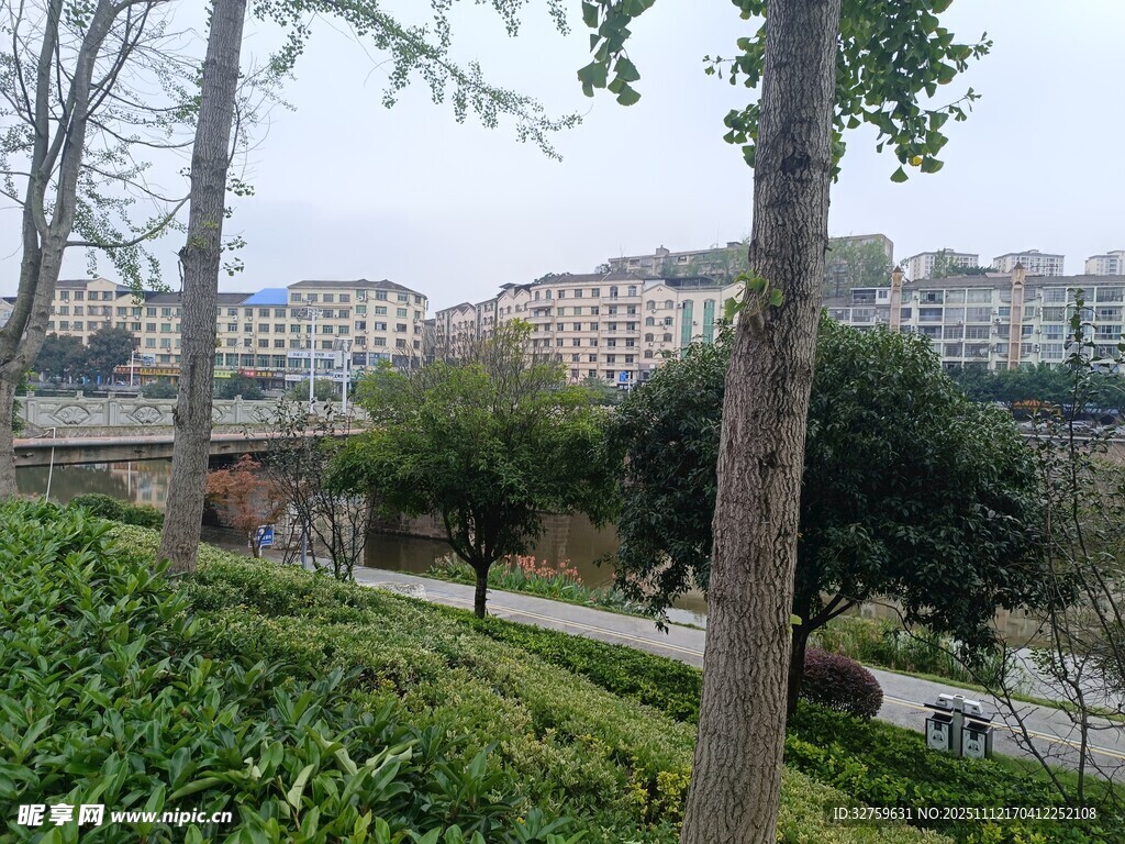 城市园林景观一角