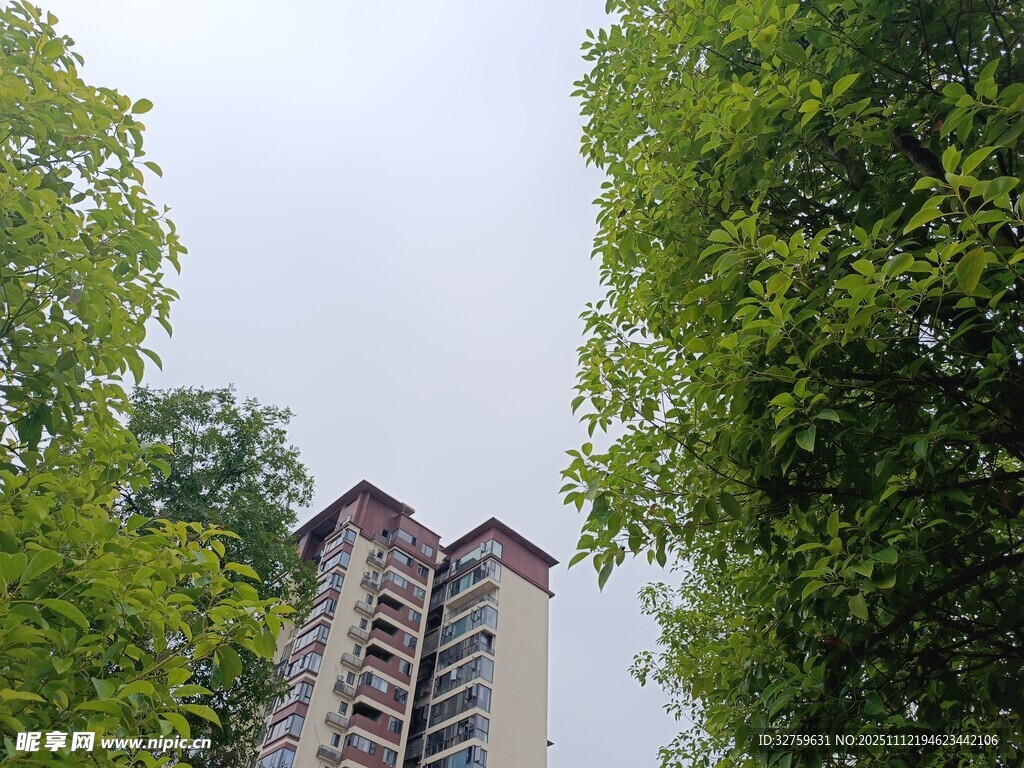 绿树环绕中的高层住宅