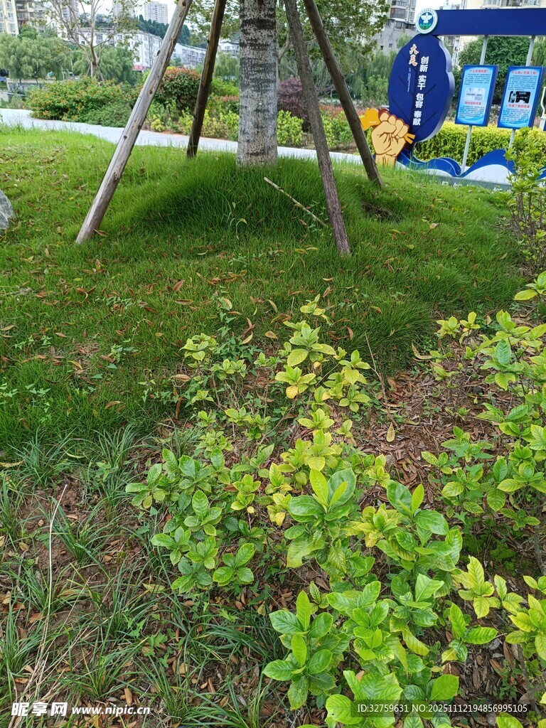 户外绿植与游乐设施景观