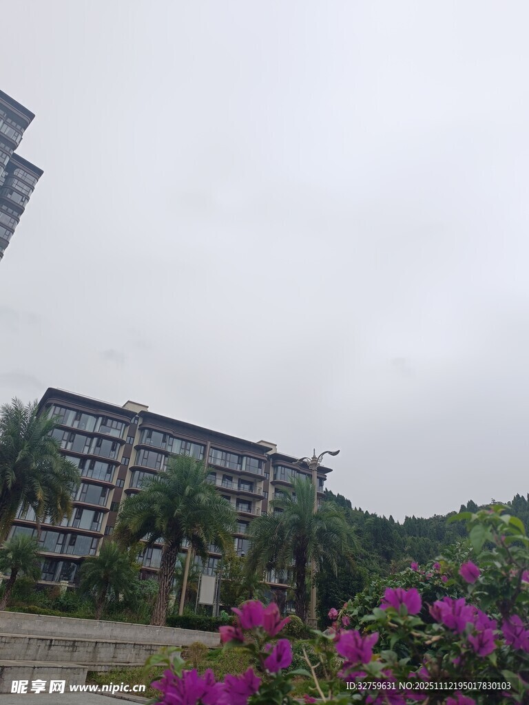 校园中繁花与建筑景致