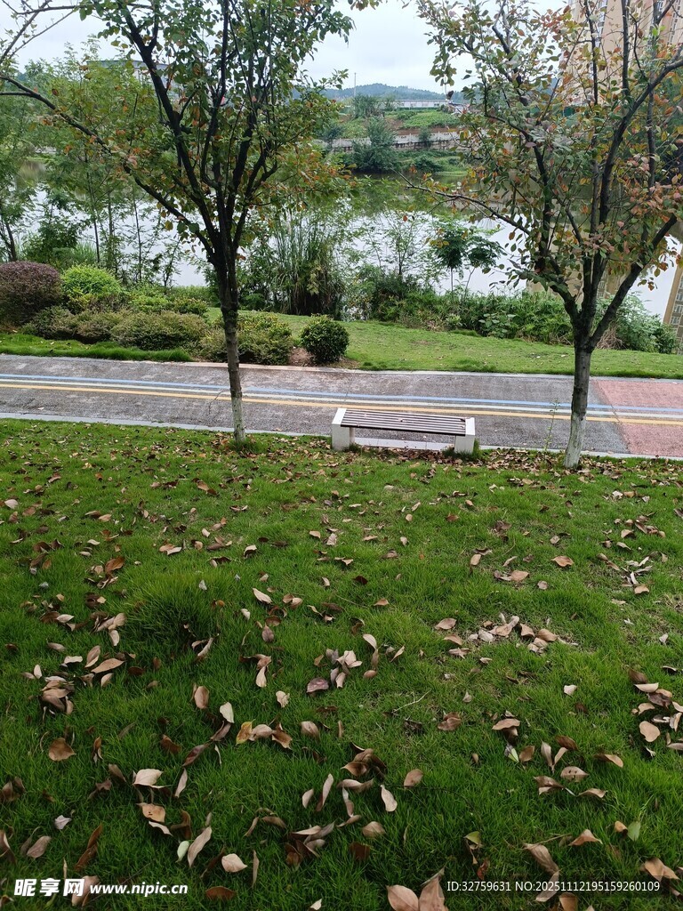 秋日公园草地与落叶景观