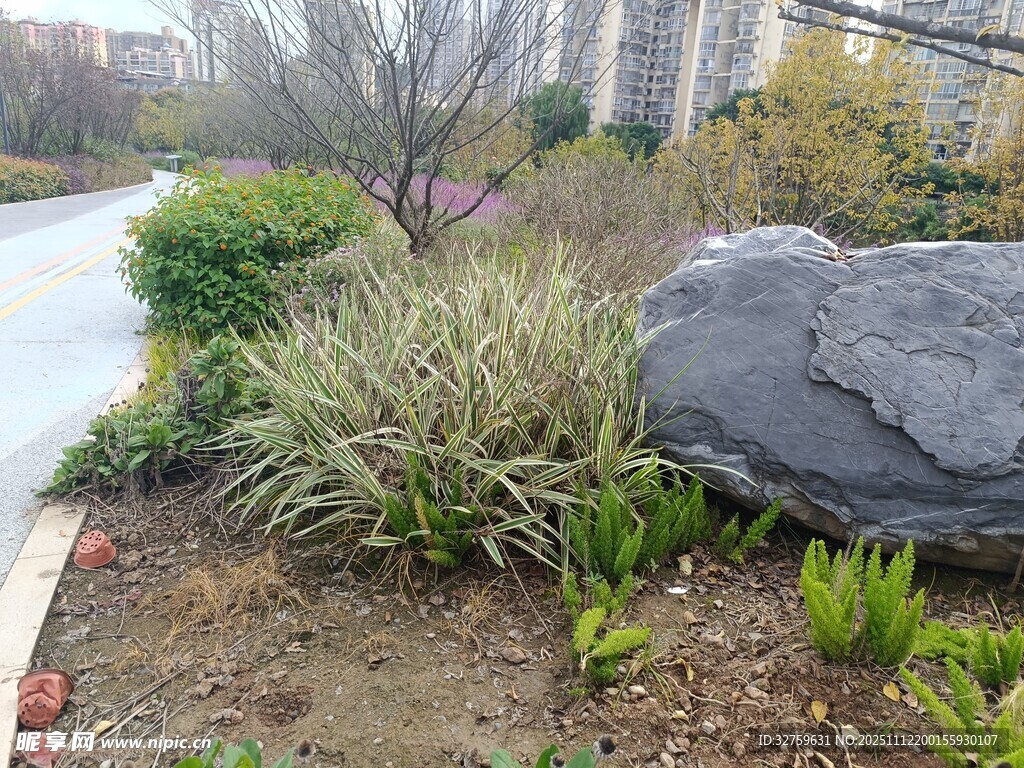 路边景观石与绿植组合