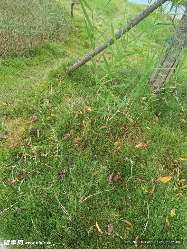 户外草地中的金属物件