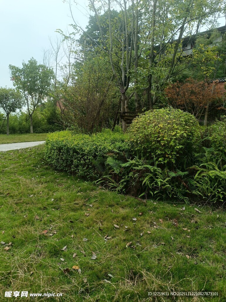 绿意盎然的户外园林景观