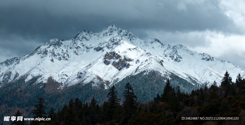 雪山森林景观