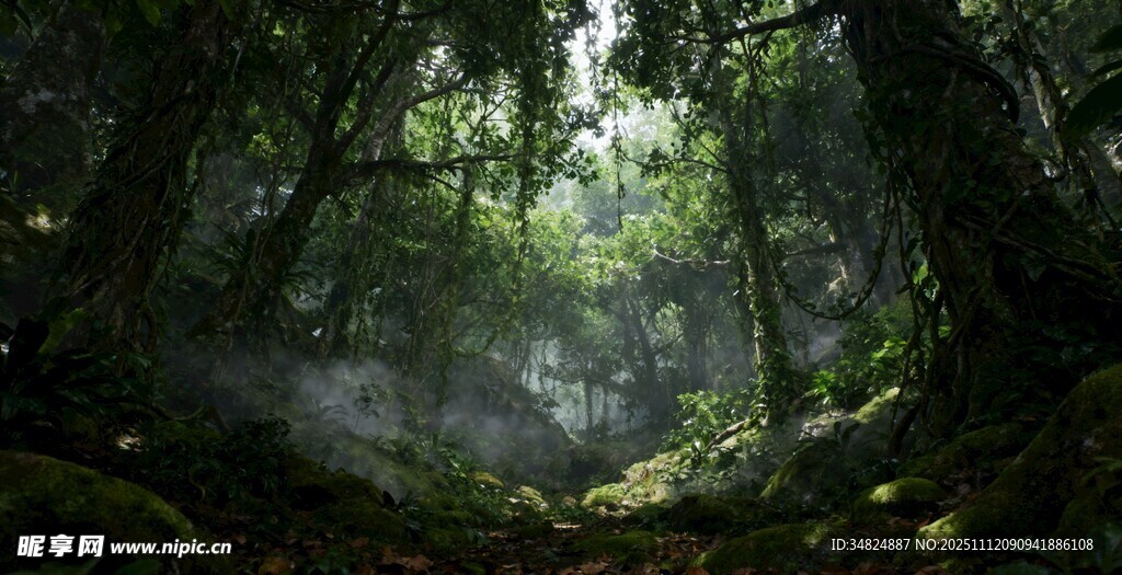 神秘幽静的奇幻森林景象