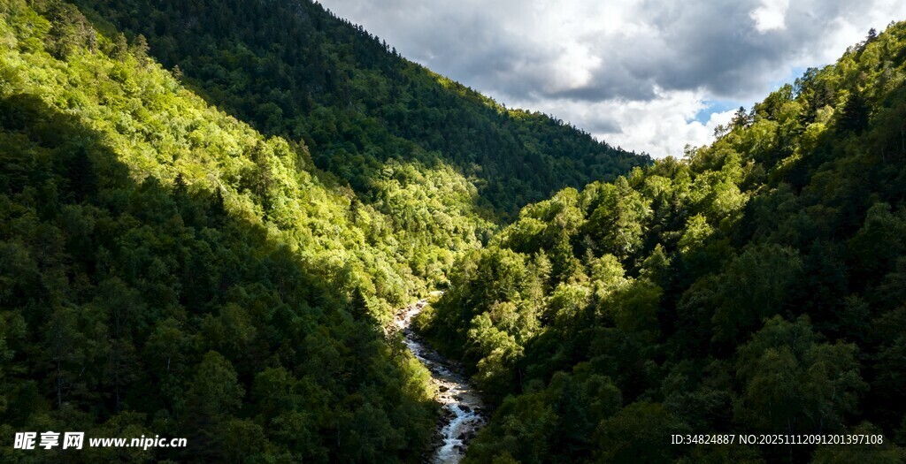 山间翠绿河谷美景