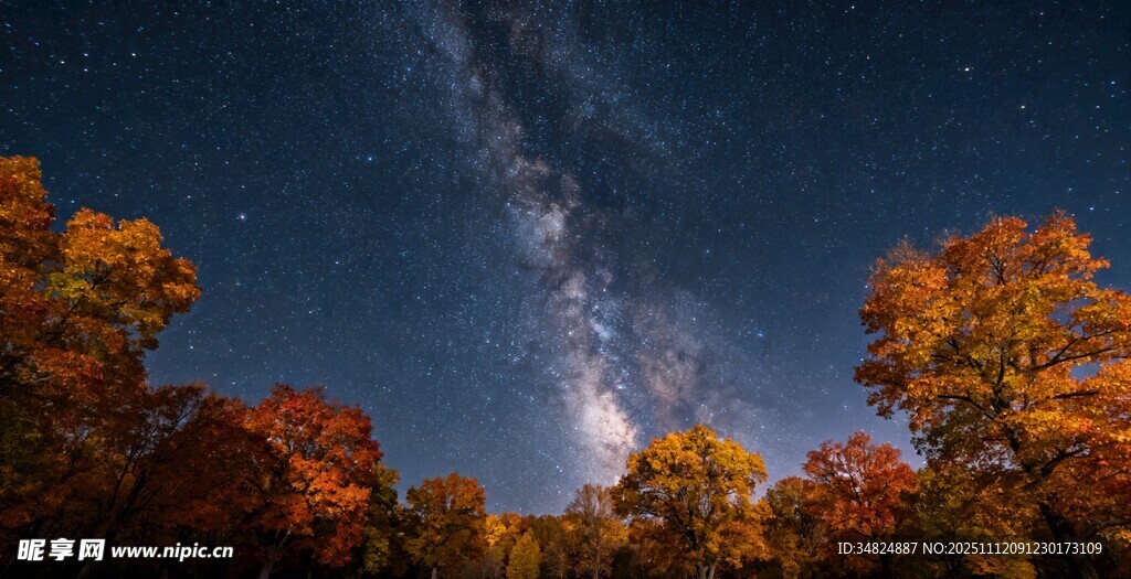 秋夜星空下的绚烂树林