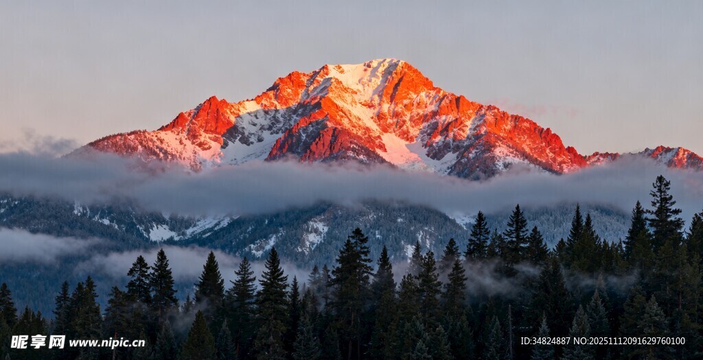 壮丽雪山映霞光