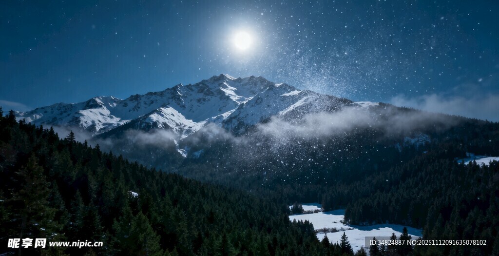 月夜下的雪山森林美景