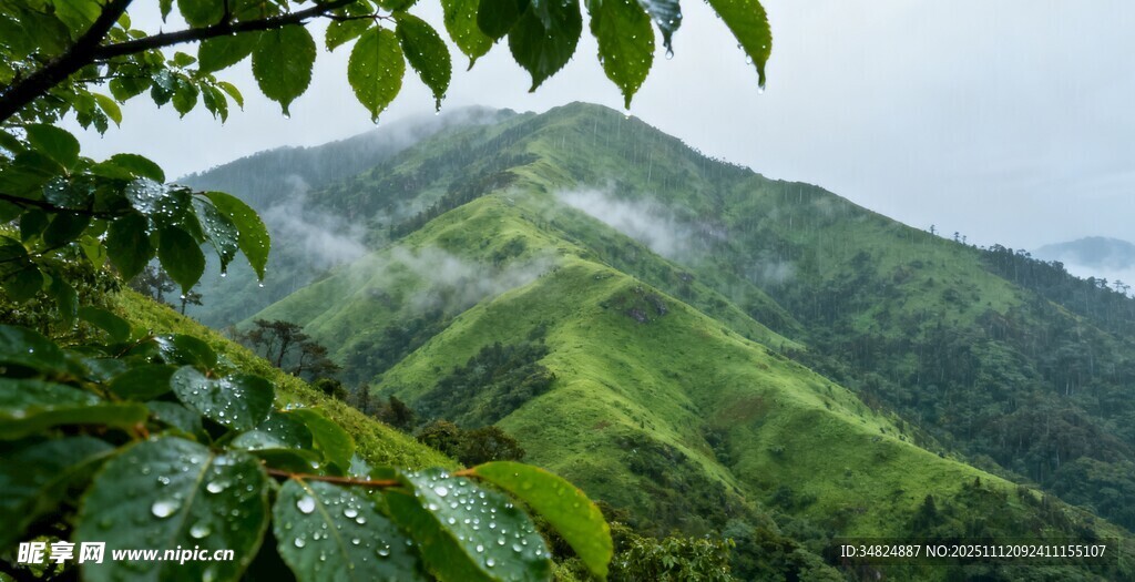青山绿意间的朦胧山景