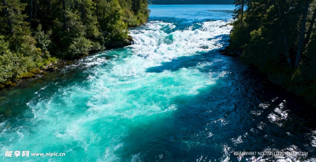 湍急蓝河穿林而过