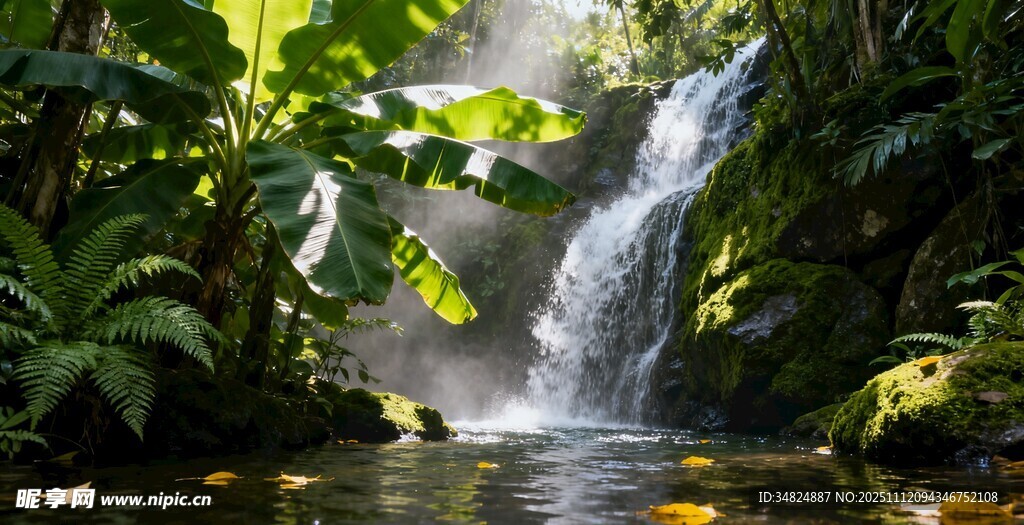 雨林中的清新瀑布景观