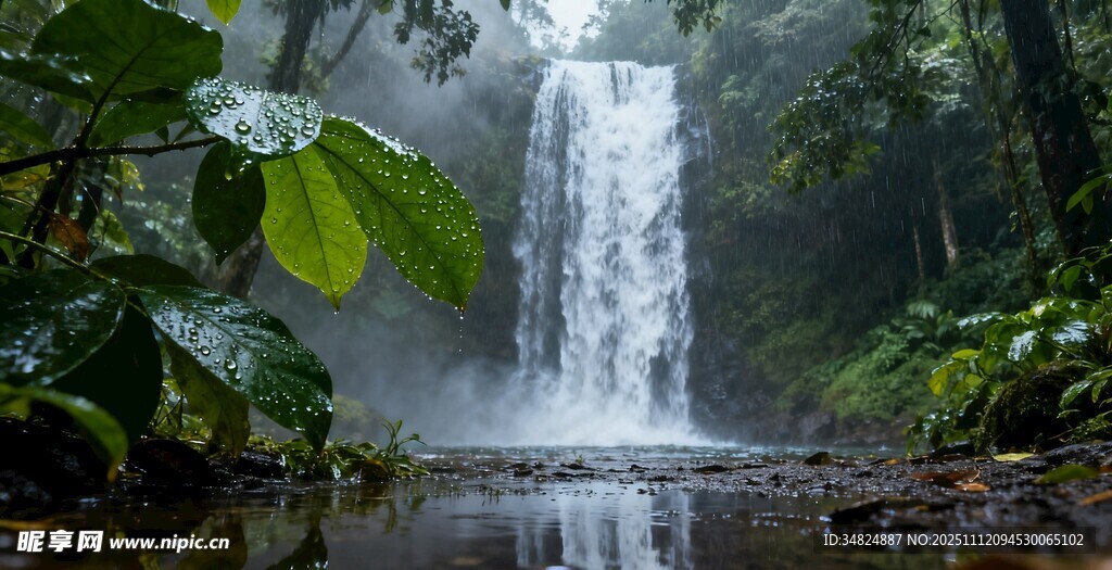 雨林中的壮丽瀑布景观