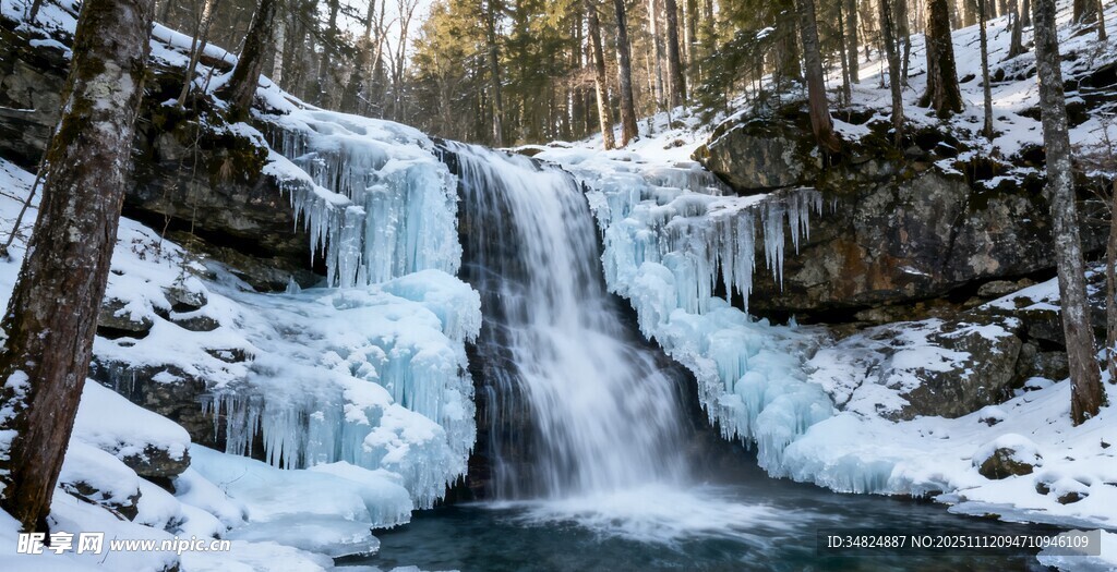 冬日冰封瀑布森林美景