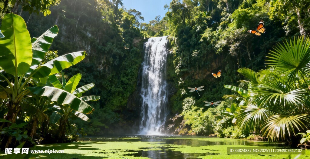 雨林中的壮丽瀑布景观