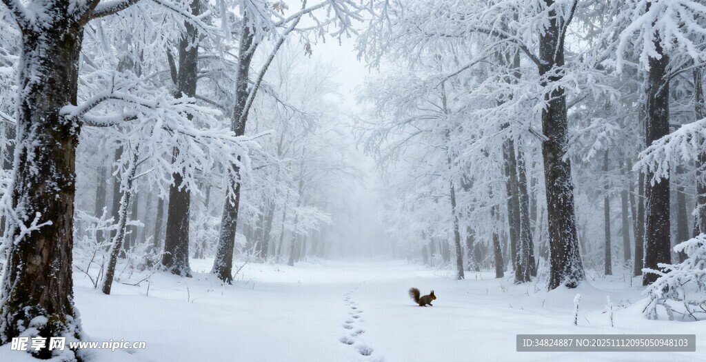 雪覆森林中的孤独行者