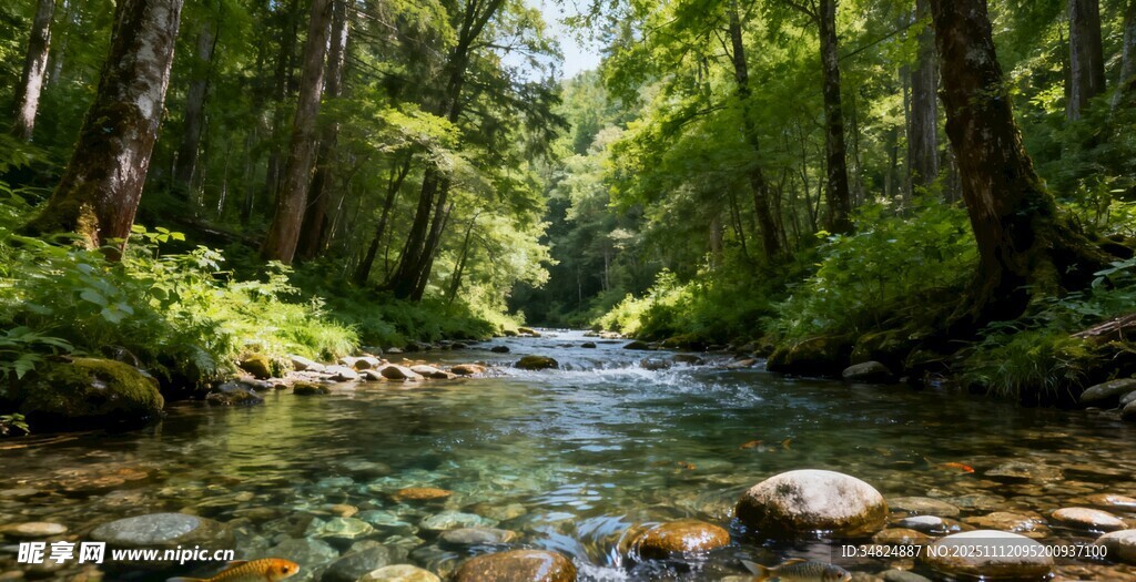 林间潺潺溪流自然美景