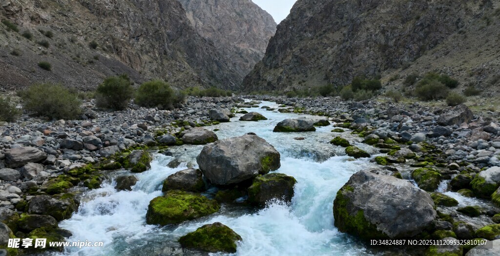 山间溪流与青苔覆盖的石头