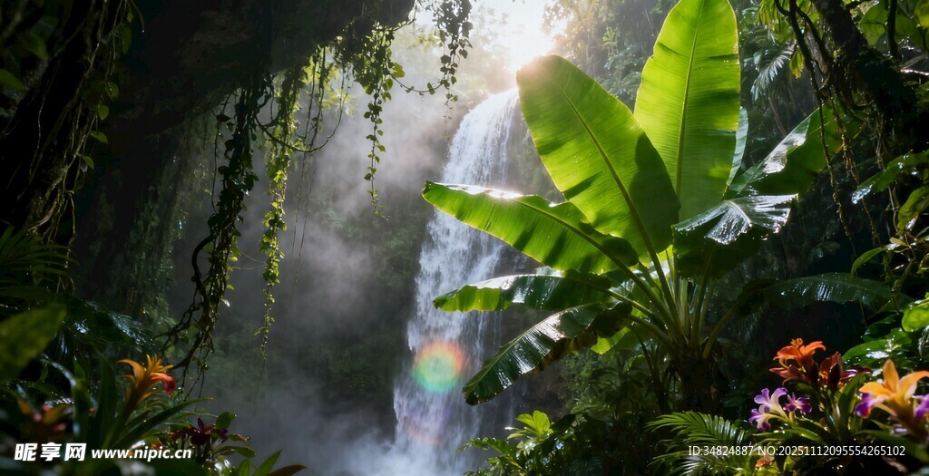 雨林中阳光洒落的梦幻瀑布