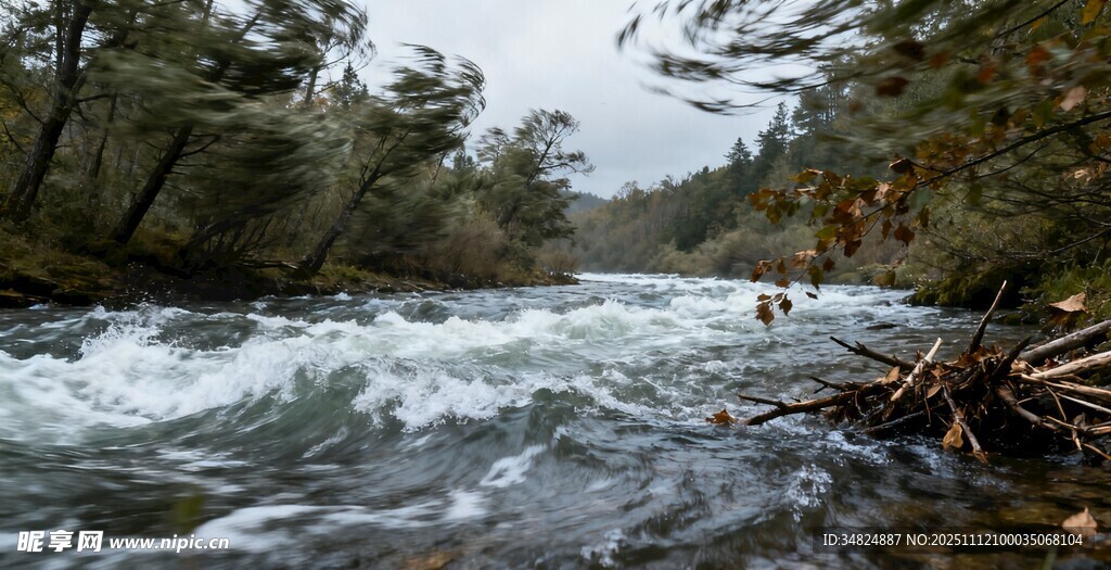 湍急溪流穿林而过