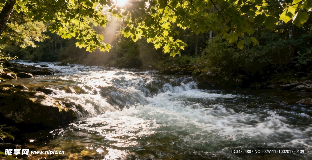 阳光洒落山间溪流