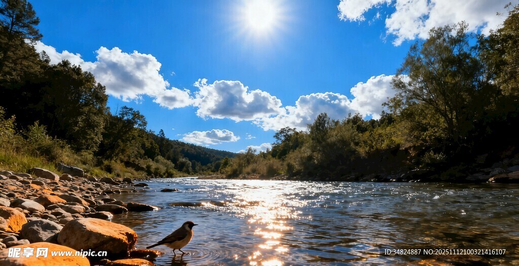 阳光照耀下的河畔美景