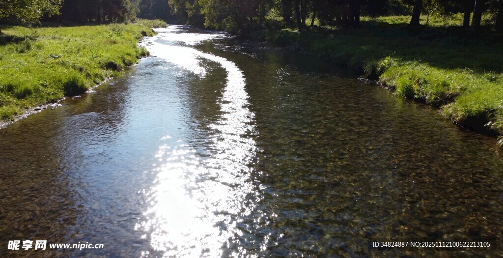 蜿蜒小溪畔的自然美景