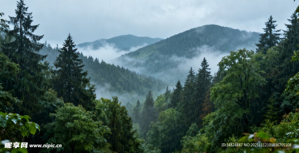 山林间云雾缭绕的迷人景致