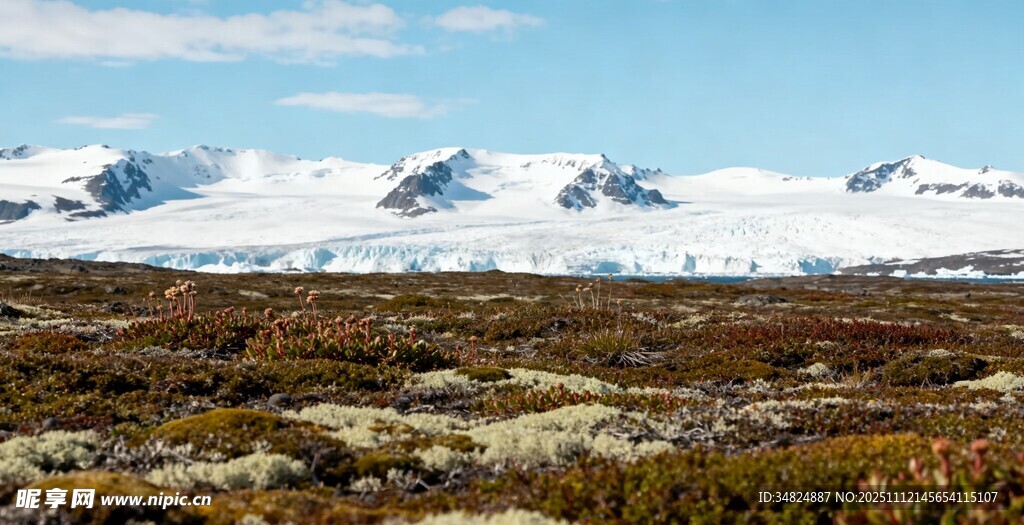 雪山下的广袤原野风光