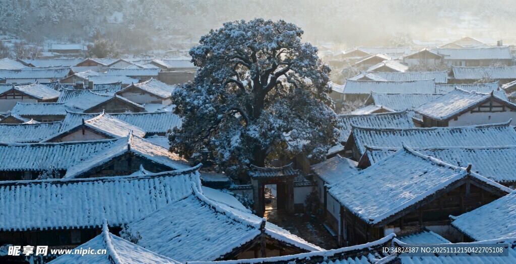 雪覆古村落孤树立其间