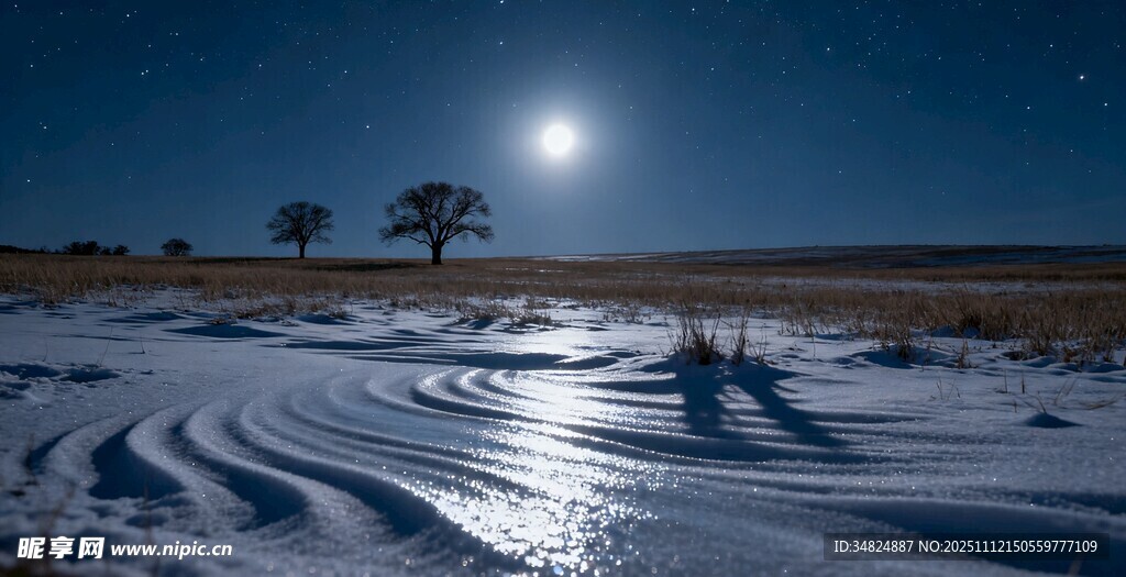 月夜雪地