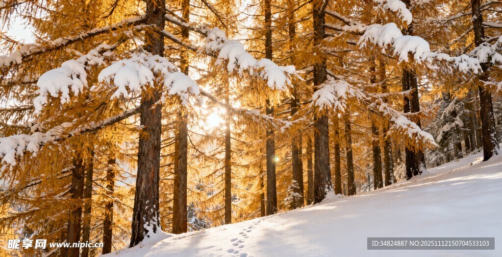雪覆山林冬日美景