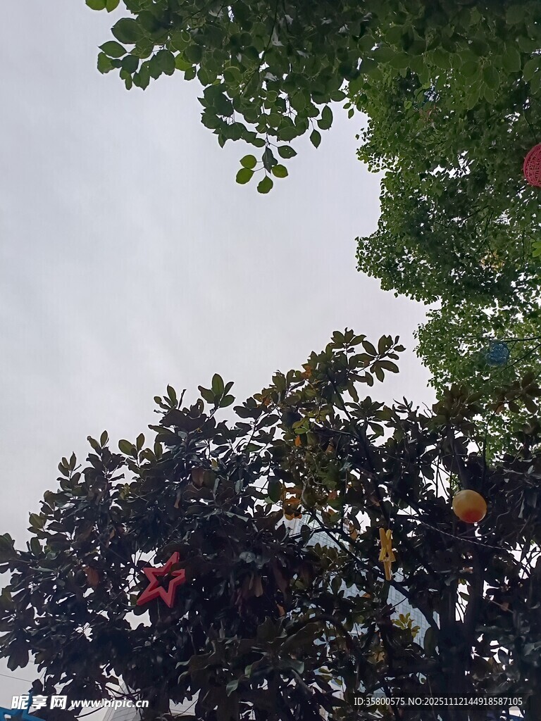 绿树间仰望多彩游乐设施