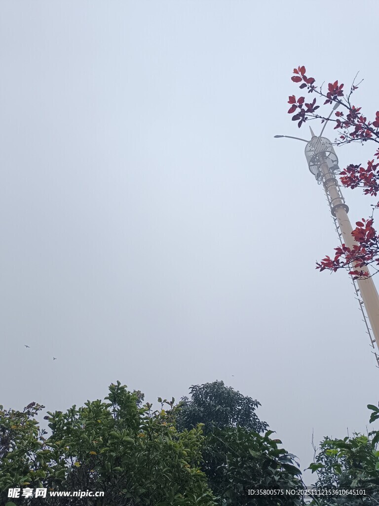 高耸观光塔及周边绿植