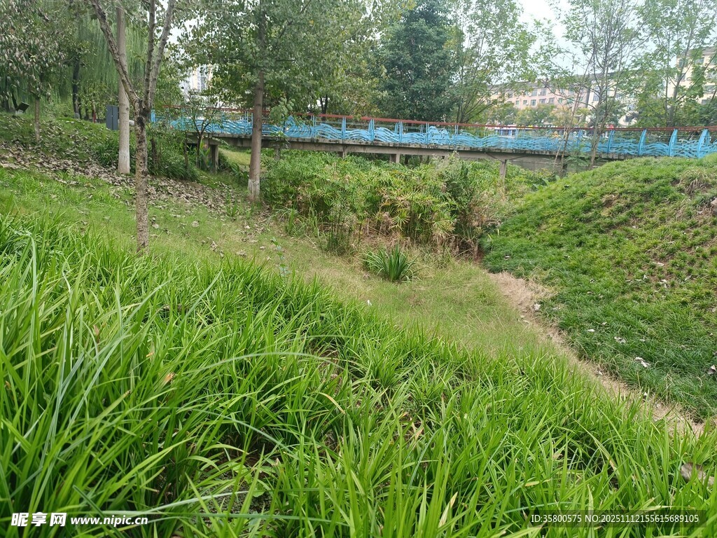 山间绿野上的蓝色吊桥