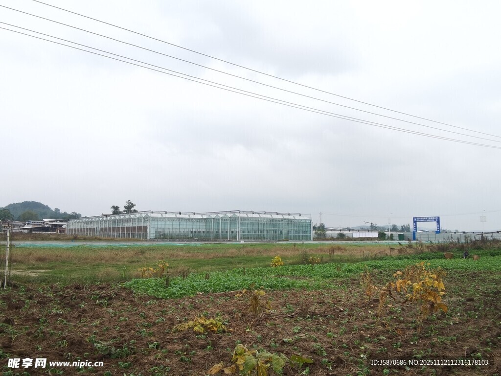 田野旁的温室大棚景观