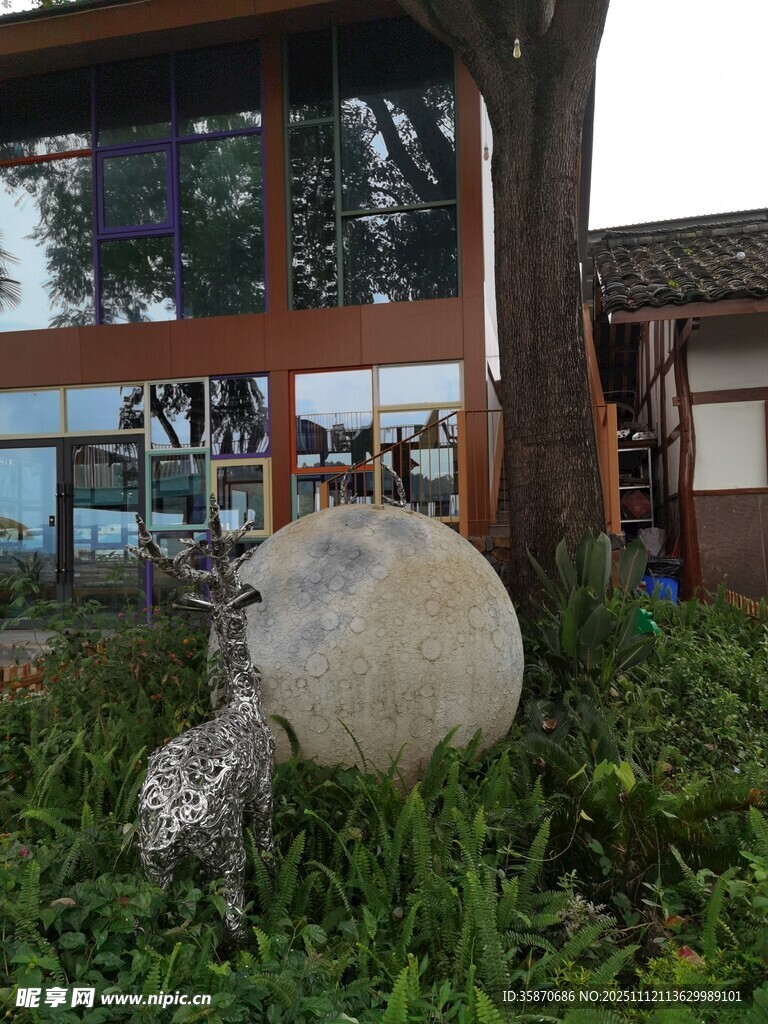 庭院中的巨石与绿植景观