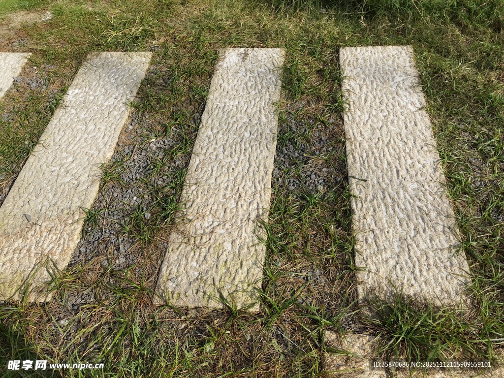 石板小径草间自然景致