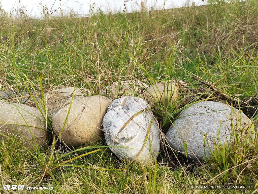 草地上的一排圆润石头
