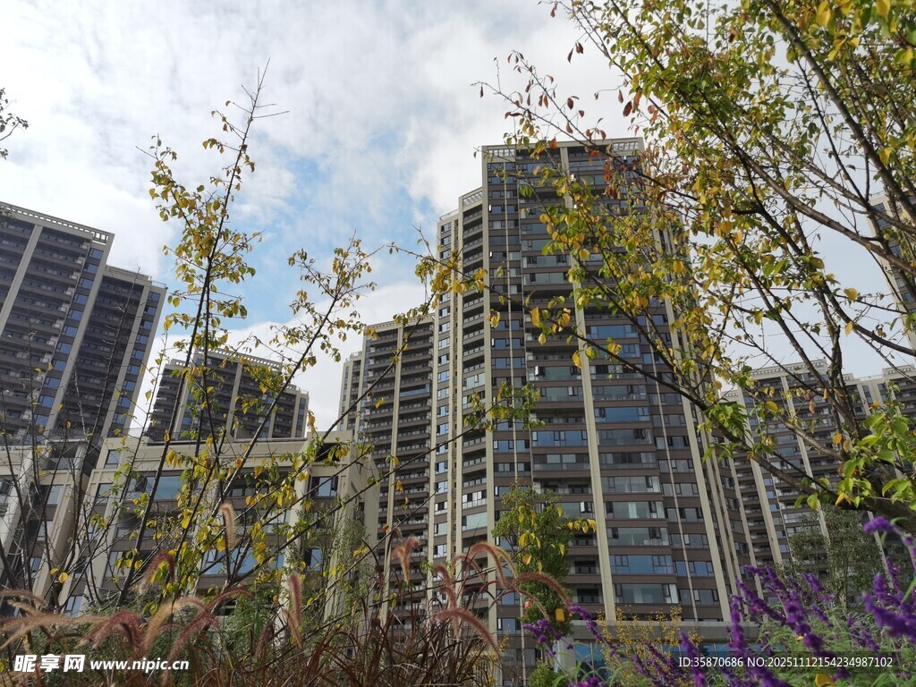 都市高楼旁的繁茂绿植